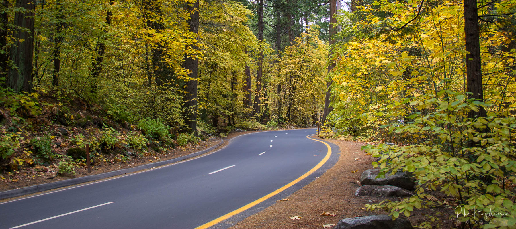 Southside Drive Southside Drive meanders through fall colors in Yosemite Valley.